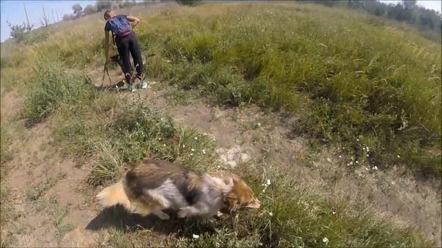 Яшма и Августа 3. Приют для бездомных животных "Лисёна" смотреть онлайн