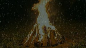 Костер в ночном лесу.  Шум Дождя, Релакс, Медитация