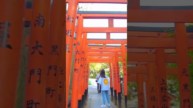 Walking Through a Tunnel of Red: Ueno Park's Torii Gates | Tokyo, Japan | ?DJI OSMO Pocket смотреть онлайн