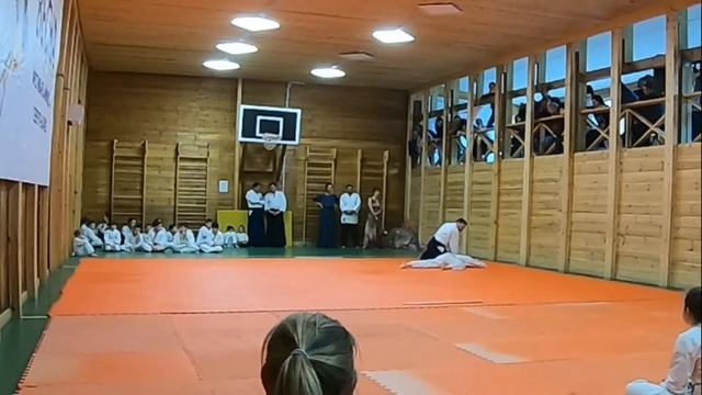 Фестиваль Айкидо "Весна". Показательные выступления 8 смотреть онлайн