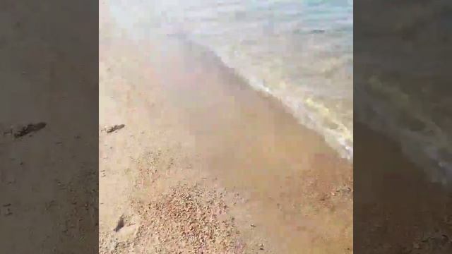 Travels Issyk-kul смотреть онлайн
