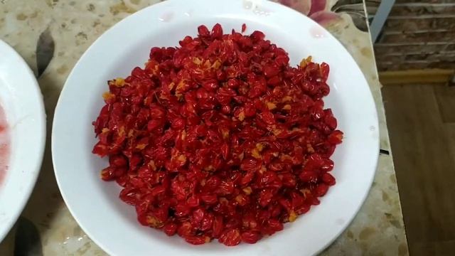 Добываем сок из рябины и ничего больше смотреть онлайн