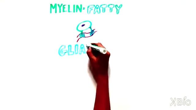What is Myelin? смотреть онлайн