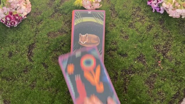 ?SEASONAL PICKS??Rhi’s Spring Collection!? #springdecks #deckcollection смотреть онлайн