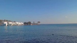 Обзор Отеля Regina Swiss Inn Resort *4 (ex. Regina Aquapark Beach Resort), Египет, Хургада.