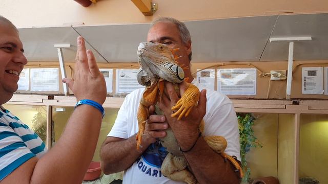 Aqua world Crete АкваВорлд Крит Херсониссос 4 смотреть онлайн
