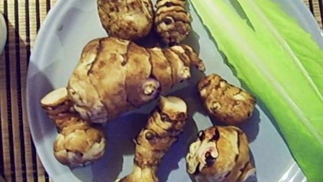 Орчата, топинамбур и витлуф смотреть онлайн