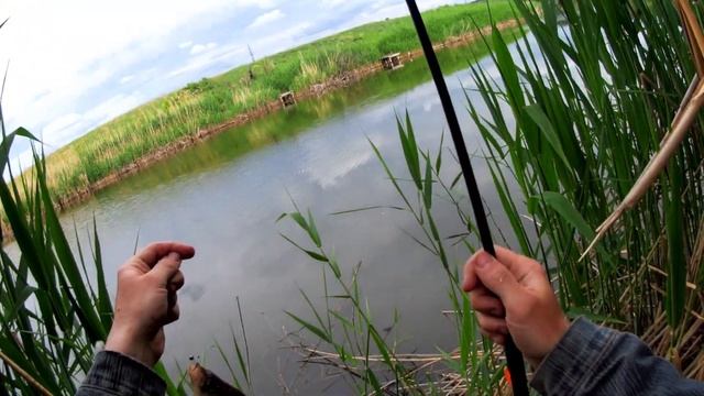 ЛОВЛЯ КАРАСЯ / НА БОКОВОЙ КИВОК / МОЯ ПЕРВАЯ РЫБАЛКА #кивок #боковойкивок #ловлякарася #мормышка