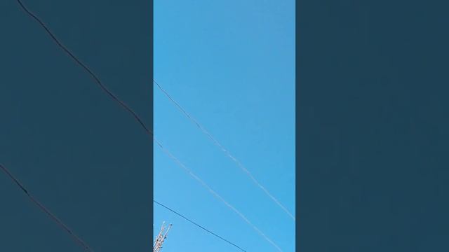 #pigeon ) Белый и Черный молодежь