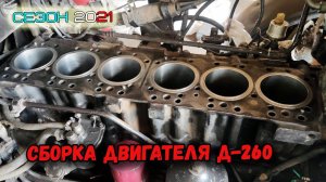 НОВАЯ ПОРШНЕВАЯ ГРУППА ДВИГАТЕЛЯ Д-260. ПОДРОБНЕЙШАЯ ИНСТРУКЦИЯ ПО УСТАНОВКЕ