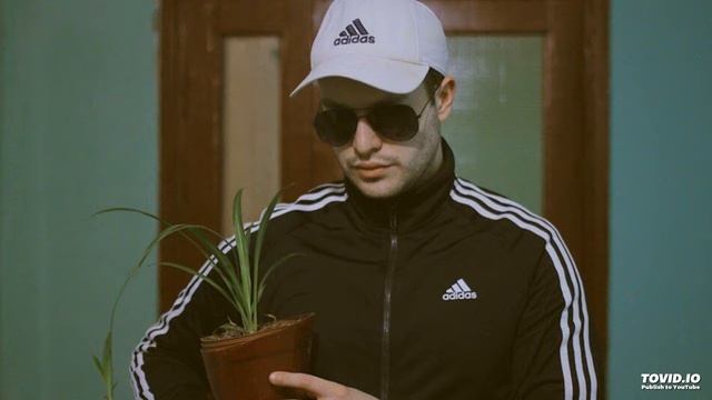 GSPD – гонки на басах смотреть онлайн