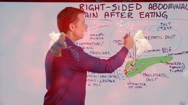 Right-Sided Abdominal Pain After Eating? – Cause Of Abdominal Pain Right Side – Dr.Berg смотреть онлайн