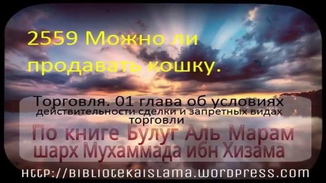 2559 Можно ли продавать кошку смотреть онлайн