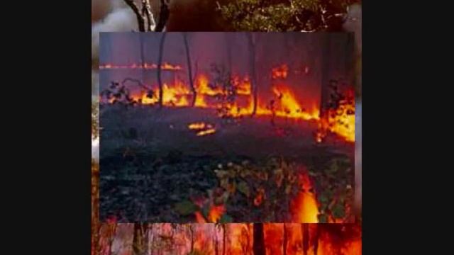 Natural Disasters смотреть онлайн
