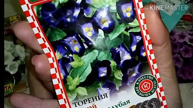 Мои семена 2020. ИМ Seedpost