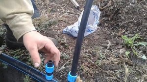 Монтаж капельного полива на голубике