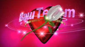 Свадебный футаж