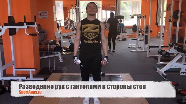 Разведение рук с гантелями в стороны стоя смотреть онлайн