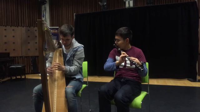 "Chinese Lake and Irish Birds" - Irish Flute and Harp смотреть онлайн