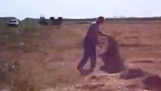 Купили пресс подборщик Киргизстан 2005 год смотреть онлайн