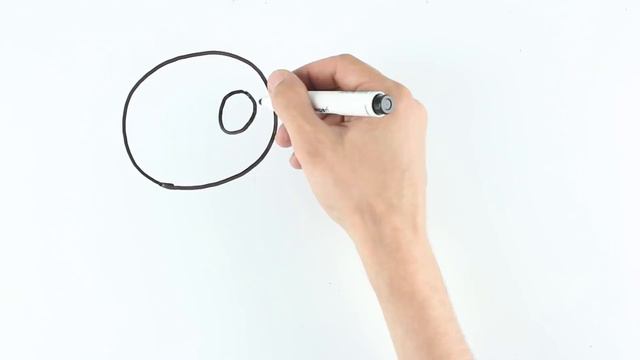 Звериные истории: захватывающие тайны