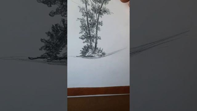 Как нарисовать дерево ? весь процесс рисования с пояснениями смотреть онлайн