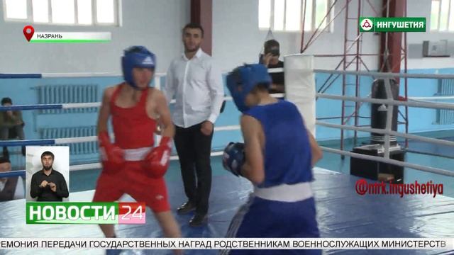 Республиканский турнир по боксу среди юношей проходит в Ингушетии смотреть онлайн