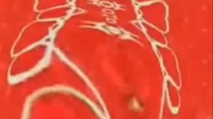 Рональд Макдональд танцует под разные песни.