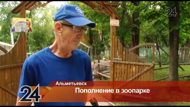 Альметьевский зоопарк пополнился новыми жильцами смотреть онлайн