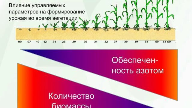Принципы работы Greenseeker. Часть первая.