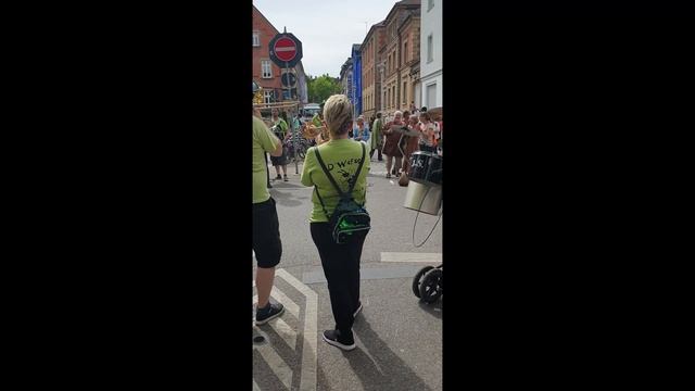 017 Guggenmusik Bietigheim am Ludwigsburger Pferdemarkt 2023 смотреть онлайн