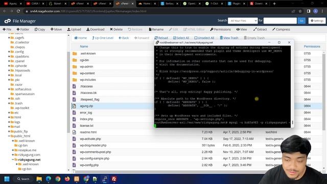 CARA PINDAH HOSTING WORDPRESS CPANEL KE VPS BIZNET GIO NEO LITE | MIGRASI WORDPRESS KE HOSTING LAIN смотреть онлайн
