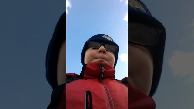 Поиск животных смотреть онлайн