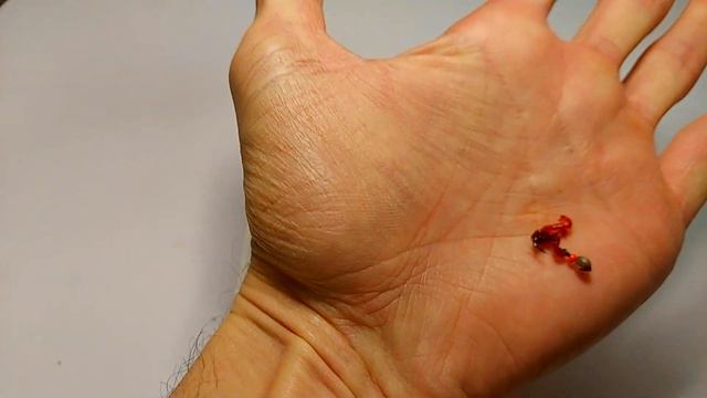 КАК НАСАДИТЬ МОТЫЛЯ? 4 СПОСОБА. Пучковяз, мотыль колечком, ЛУЧШАЯ насадка? Рыбалка с наживкой мотыл смотреть онлайн