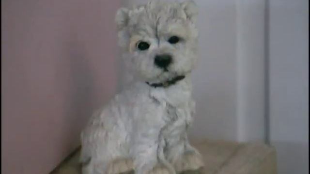 груминг вестов Groomingdogs.ru