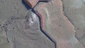 элюминаты, Всемирный заговор