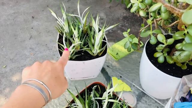 VLOG: ОБЗОР ПОКУПОК 🛍 НЕКОГДА В ГОРУ ГЛЯНУТЬ🤪 смотреть онлайн