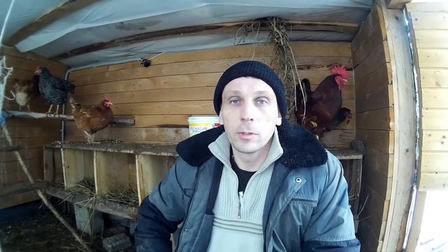Куры несутся зимой как летом/Деревенский нано курятник. смотреть онлайн