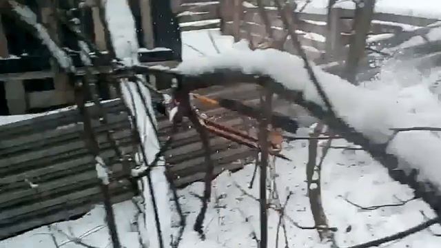 ДОКАТАЛИСЬ сломал НОС ЖЕСТЬ!!! смотреть онлайн