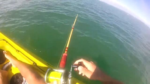 Manakau Harbour Kayak Fishing - Viking Espri