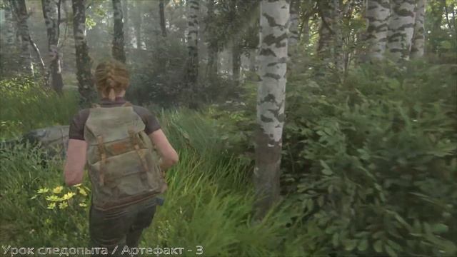 Парк / Одни из нас: Часть Ll / Все артефакты, монет, верстаки, сейифы.