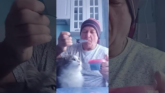 Ем кальмар щупальца в чесночным соусе из магазина магнит смотреть онлайн