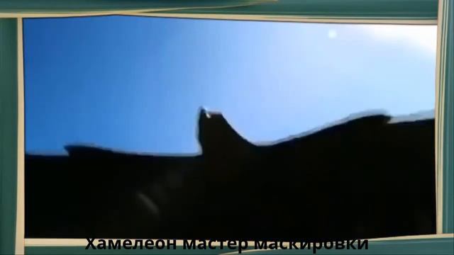 Хамелеон Лучший Маскировщик, В мире животных смотреть онлайн