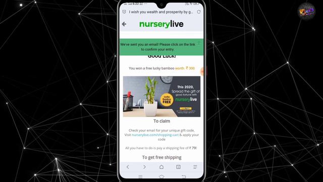 【New Year offer】Get 379₹ Bamboo Plant FREE ! Free Decorative plant ! NurseryLive offer ! Free plant смотреть онлайн