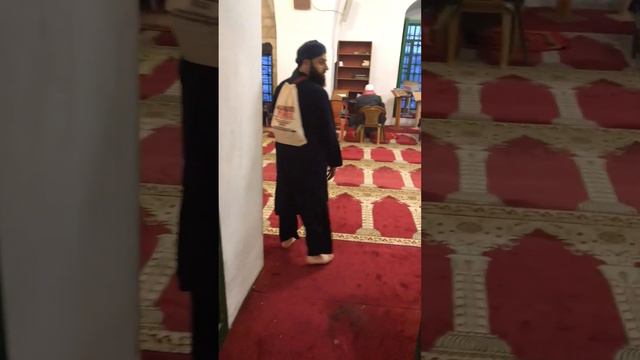 Masjid Umar | Masjid al-Aqsa| Palestine #masjidalaqsa #palestine #alquds смотреть онлайн