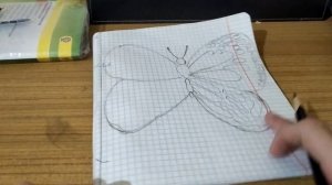 Рисуем бабочку Крапивницу