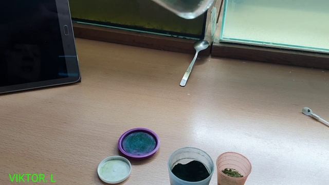 Дафния бесплатный корм смотреть онлайн