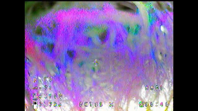 BetaFPV Cetus X -  Crash Flipping At The Campus...A LOT