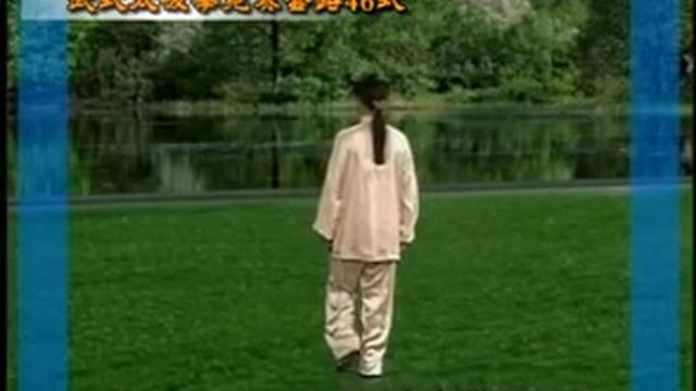 Тайцзицюань. 46 форм. Китайский язык