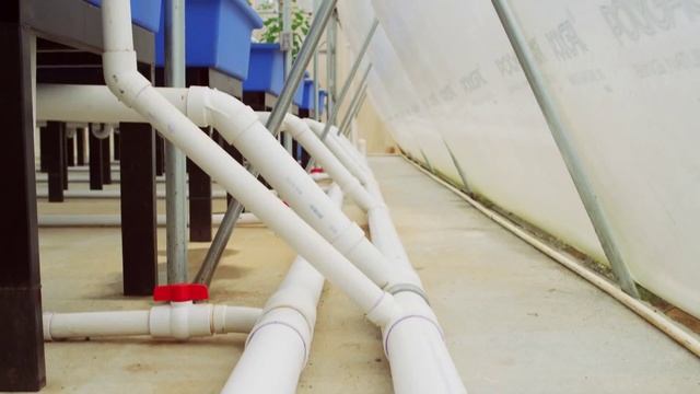 Акваферма Дело природы смотреть онлайн